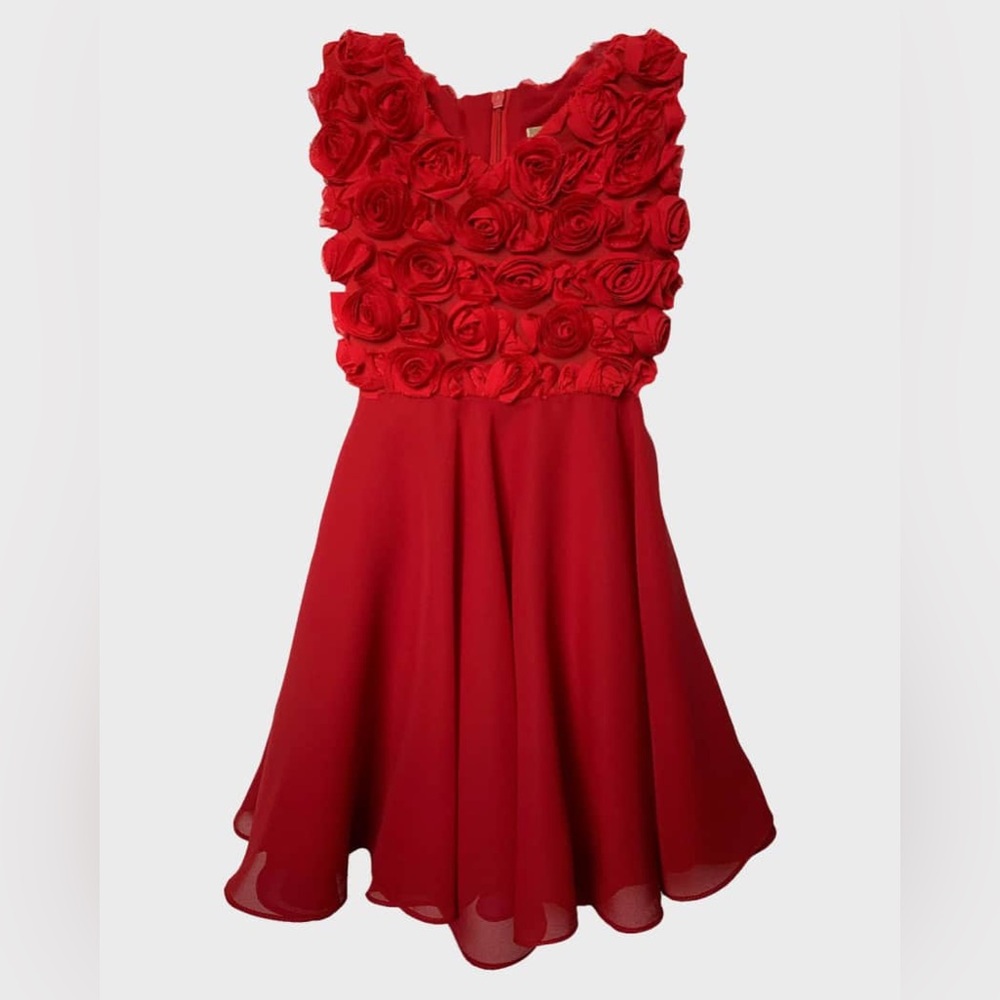 Helena Girls 3D Red Rosettes A-Line Dress